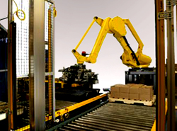 robotic palletizing system in a warehouse shipping operation
