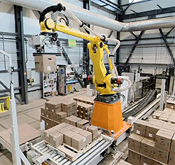 robot palletizing boxes