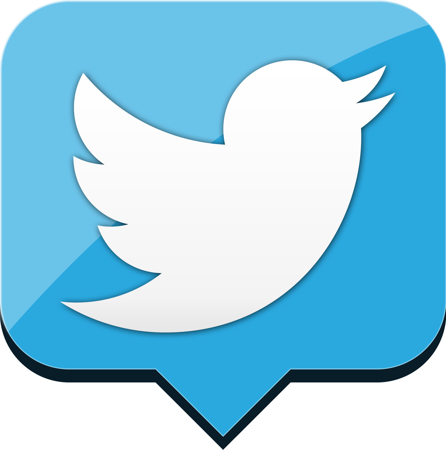 Twitter Logo