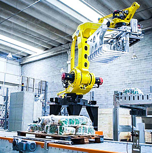 robot in palletizing station with conveyor