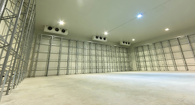 Cold storage room with pallet racks lining the walls